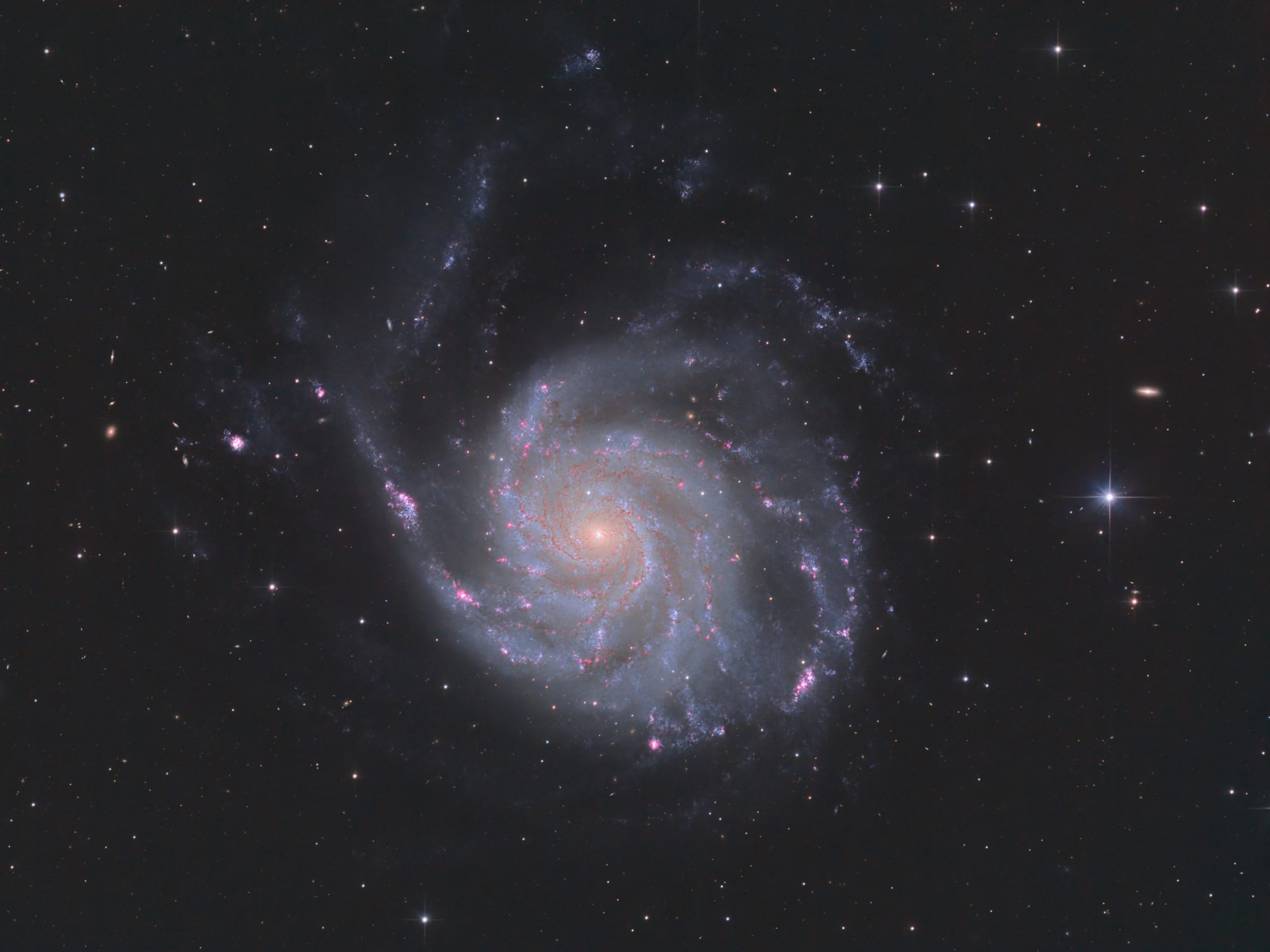 M101_04_23_final_crop_ha_srgb-scaled.jpg