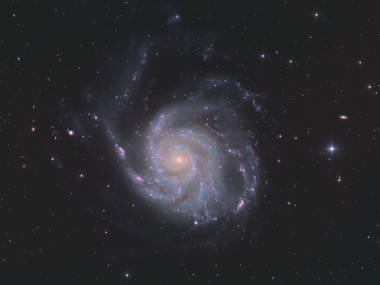 M101_SN2023ixf_anim.gif