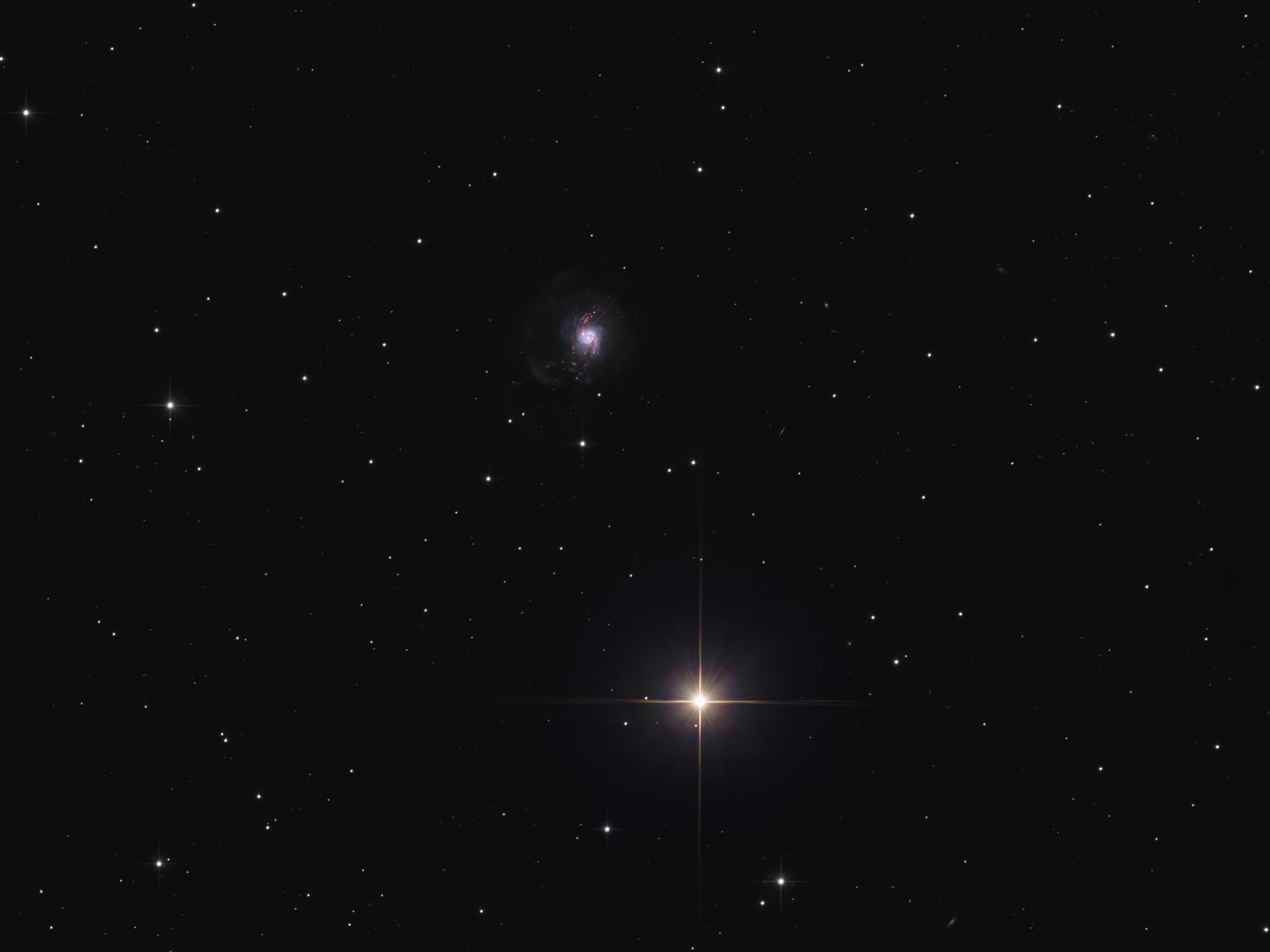 NGC3310_RGB_enhanced_crop_sRGB-scaled.jp
