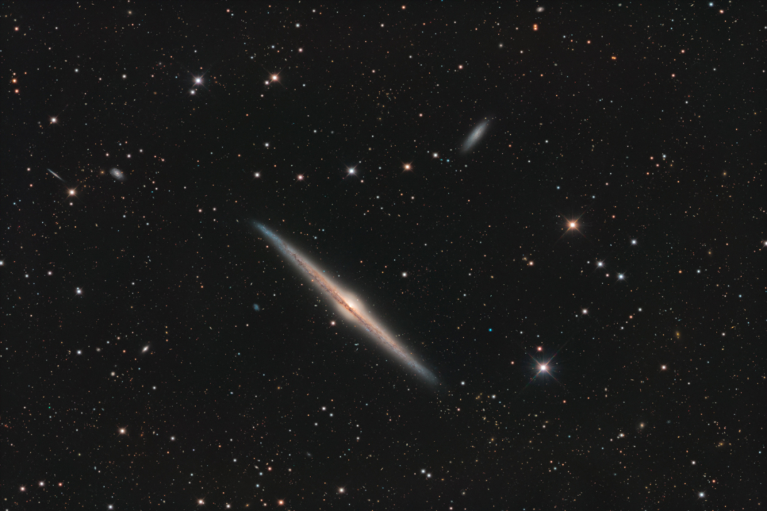 NGC 4565