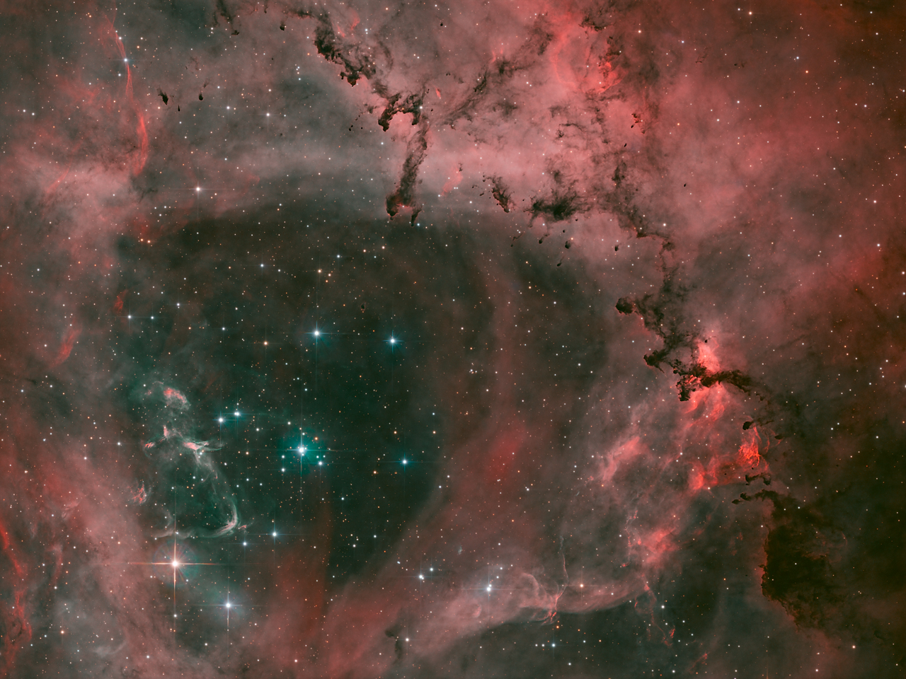 Dive into the Rosette